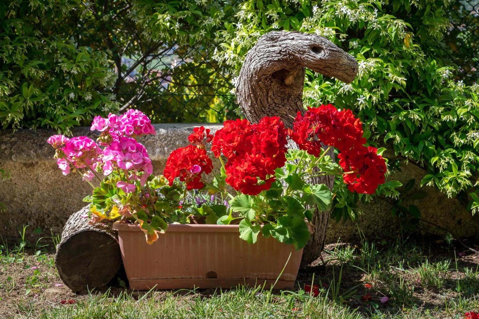 B&B Hibiscus Агрополі Екстер'єр фото